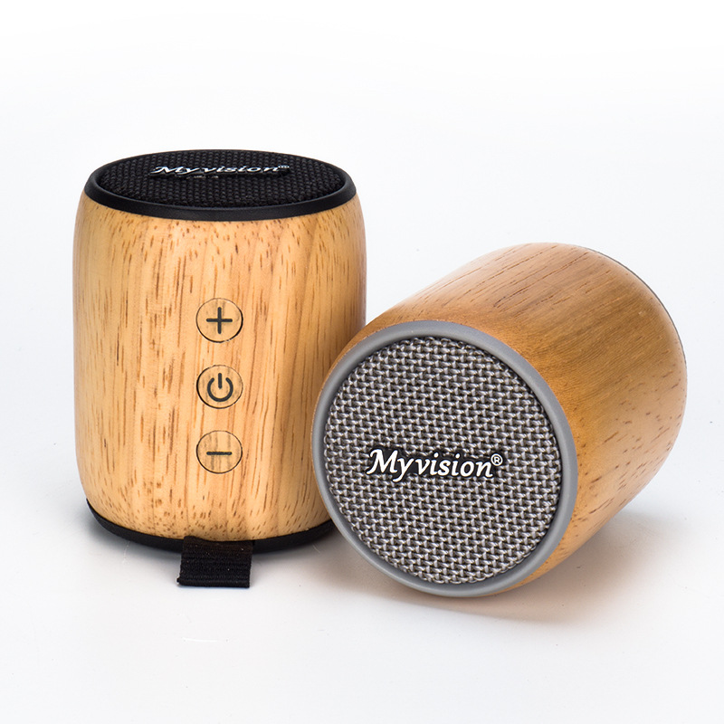 S-BT006 Bluetooth Speaker
